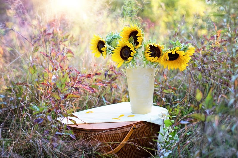 Otherworldly arrangements